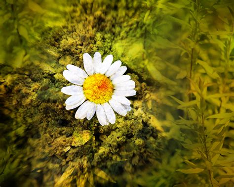 How To Create Your Own Unique Textures And Apply Them To Your Photography