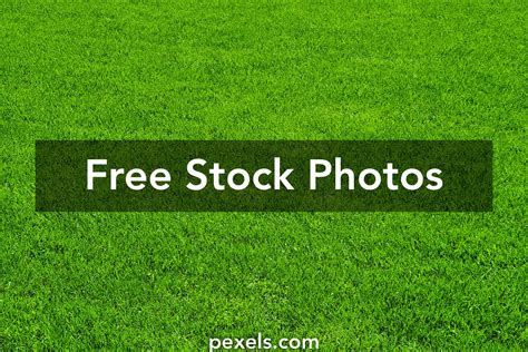 Groundskeeper Photos, Download The BEST Free Groundskeeper Stock Photos ...