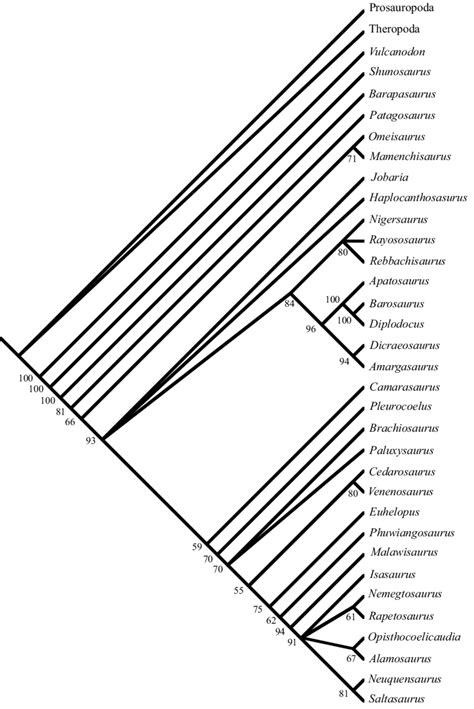 Bootstrap 50 Majority Rule Consensus Cladogram Bootstrap Values