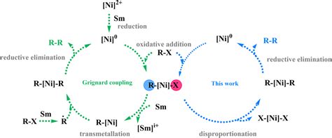 Flexible Porous Organic Polymers Constructed Using C Sp C Sp