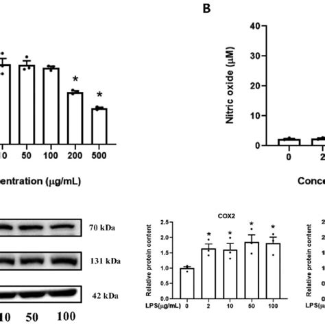 The Effect Of Lipopolysaccharide Lps On Bovine Mammary Epithelial