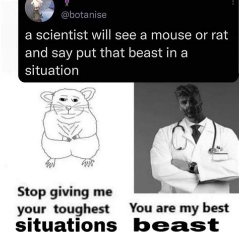 Rat Stop Giving Me Your Toughest Battles Wojak Comic Know Your Meme