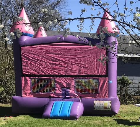 Princess Castle Bounce House Rentals Shelf Service Bouncers