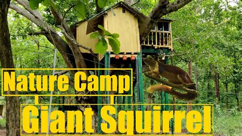 Giant Squirrel Nature Camp Ganjam Tree House Stay Off Road Odisha