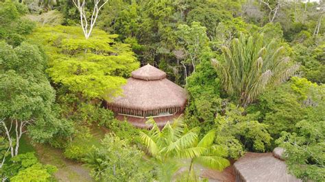 Best Ayahuasca Retreats In The World Viajando E Aproveitando