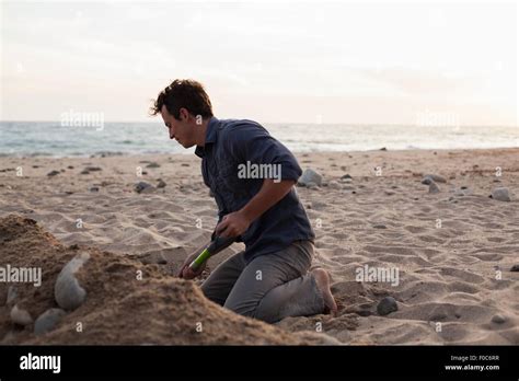 Man Digging Into Sand On Beach Stock Photo Alamy