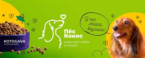 KOTOGAVA_MSK Корм для собак и кошек | KOTOGAVA - Активно развивающаяся ...
