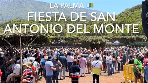 Fiesta De San Antonio Del Monte La Palma K Youtube