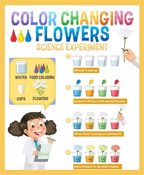 Flower Science Experiment Color Best Flower Site