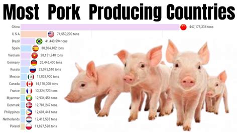 Top Pork Producing Countries In The World Largest Pork Producers In