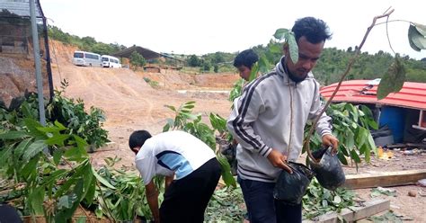 Batam Mangrove Kami Bagian Yang Mengambil Peran