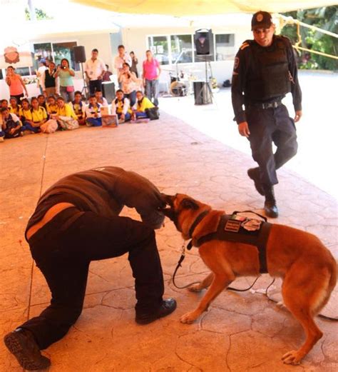 Hacen feria de prevención del delito en Jojutla Zona Centro Noticias