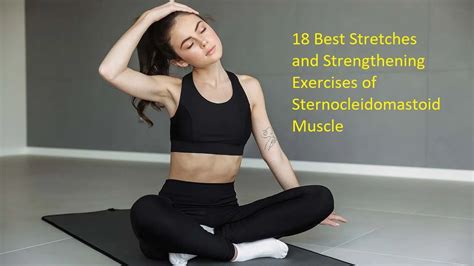 18 Best Exercises of Sternocleidomastoid Muscle