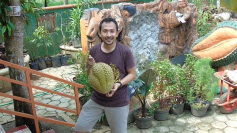 Kebun Durian Bawor