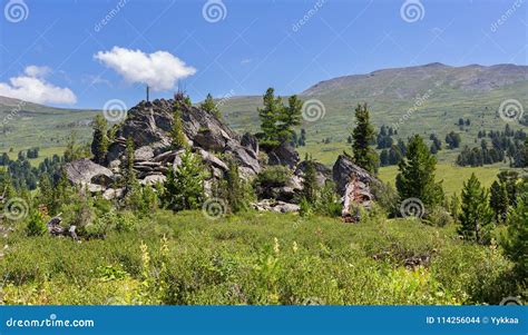 Pile of Boulders on the Slope of Altai Krai Mountains. Stock Photo ...