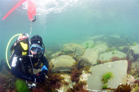 Above 18m Diving Kimmeridge Bay