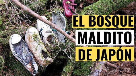 AOKIGAHARA EL BOSQUE MÁS EMBRUJADO DE JAPÓN NO TE CREERÁS LO QUE