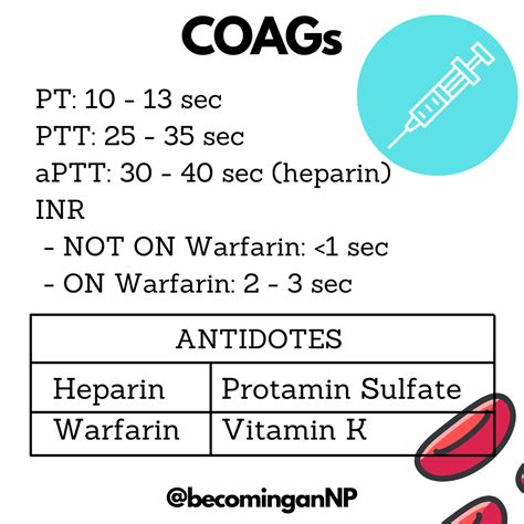 lab values cheat sheet lab values nursing school survival nursing