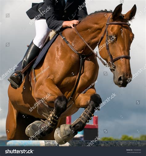 Horse At Jumping Competition Stock Photo 139280000 : Shutterstock