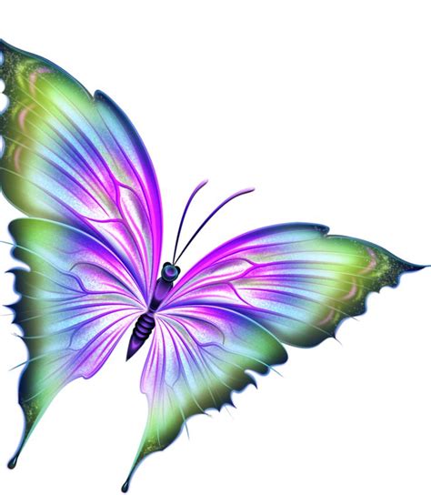 Beautiful Butterflies Art Butterfly Clip Art Butterfly Pictures