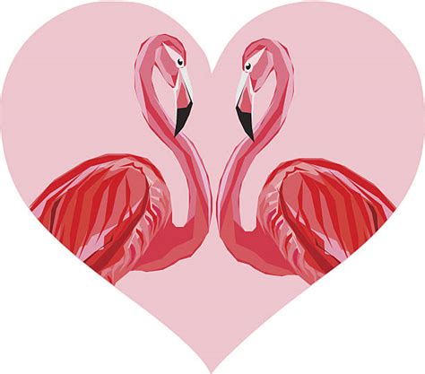 Flamingo Heart Illustrations Royalty Free Vector Graphics And Clip Art