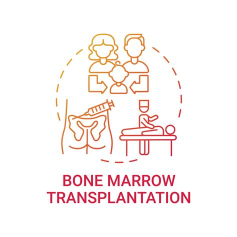 Bone Marrow Transplantation Red Gradient Concept Icon 2487072 Vector