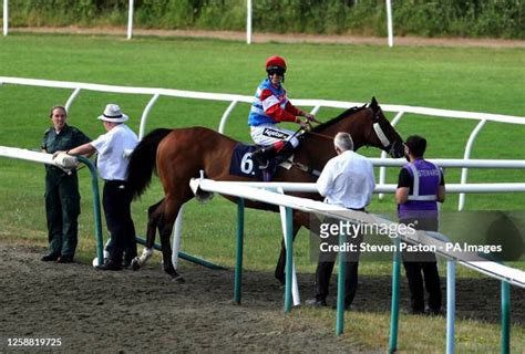 25 Steven Rooke Stock Photos High Res Pictures And Images Getty Images