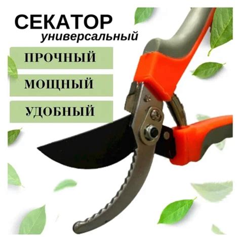 Инструменты для дачи на валберис — купить по низкой цене на Яндекс Маркете