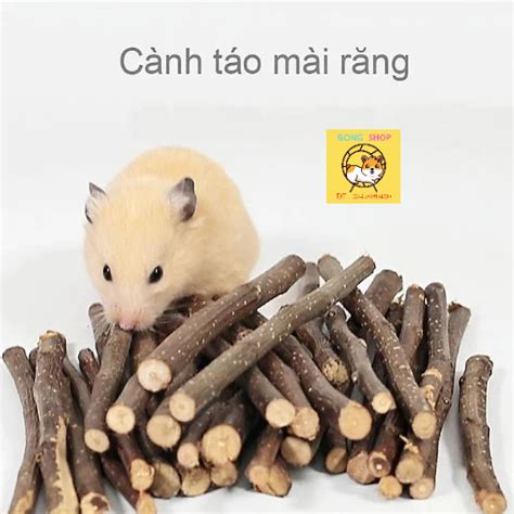 Cành táo tre ngọt mài răng cho hamster thỏ bọ ú sóc bay chinchila