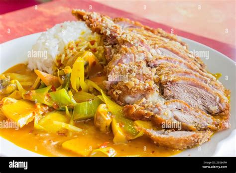 Thai Dish With Roasted Duck Rice And Vegetables In Curry Sauce Stock