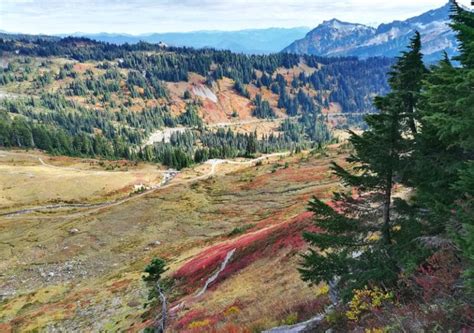 Seven Incredible Washington State Road Trips For Natural Scenery Cool