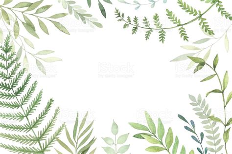 Hand Drawn Watercolor Illustration Botanical Frame With Green Leaves Branches And Herbs