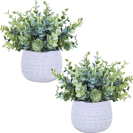 Amazon Winlyn Set Of Small Artificial Potted Plants Faux