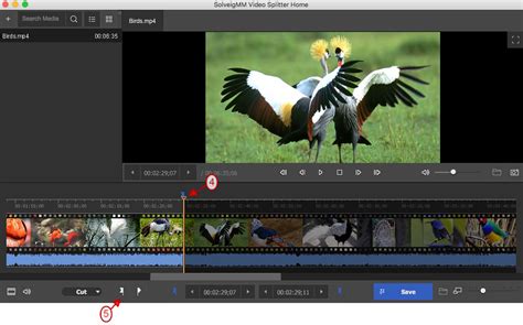 how to edit mp4 on mac