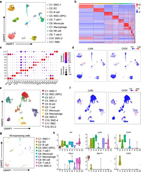 Singlecell Rna Sequencing Rnaseq For Senescent Mouse