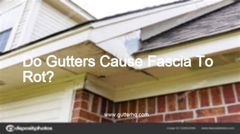 Do Gutters Cause Fascia To Rot Gutter Hq