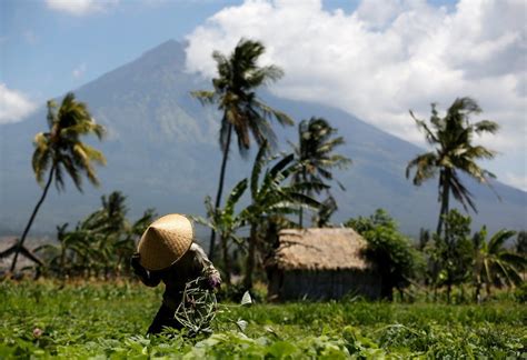 Dampak erupsi gunung berapi terhadap vegetasi dan ekosistem