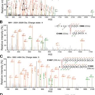 Mass Spectrometric Identification Of Inter Domain Disulfide Bonds In