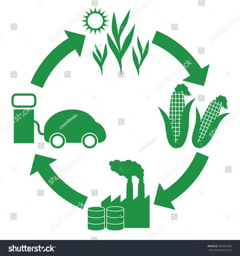 26 Biofuels Cycle Background Engineering S Advice