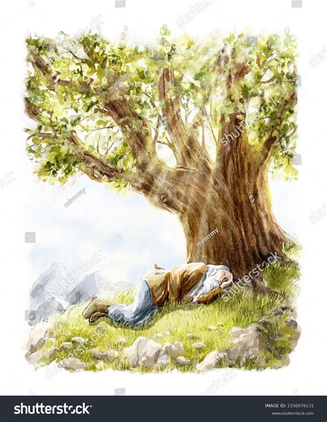 Man Sleeping Under Tree Images Stock Photos And Vectors