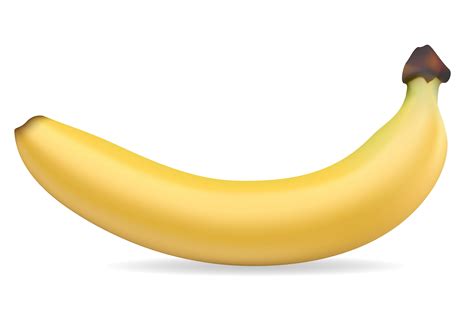 Banana Vector Illustration 489753 Vector Art At Vecteezy