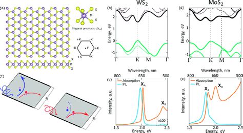 A Monolayer 1l Transition Metal Dichalcogenide Crystal Tmdc Download Scientific Diagram