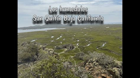 Los Humedales En San Quint N Baja California Youtube