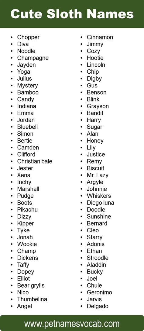 Best Names for Sloth: Male, Female, Cute & Funny - Pet Names Vocab