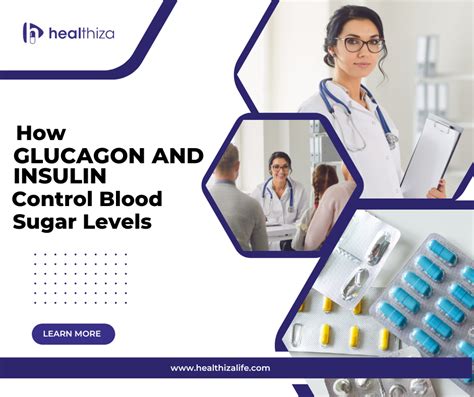 How Glucagon and Insulin control blood sugar levels