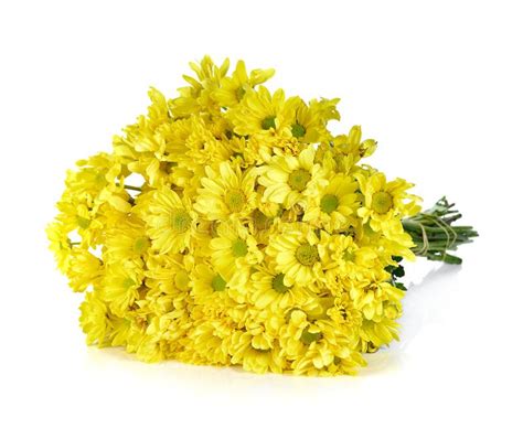 Beautiful Bouquet Of Yellow Chrysanthemum Stock Photo Image Of