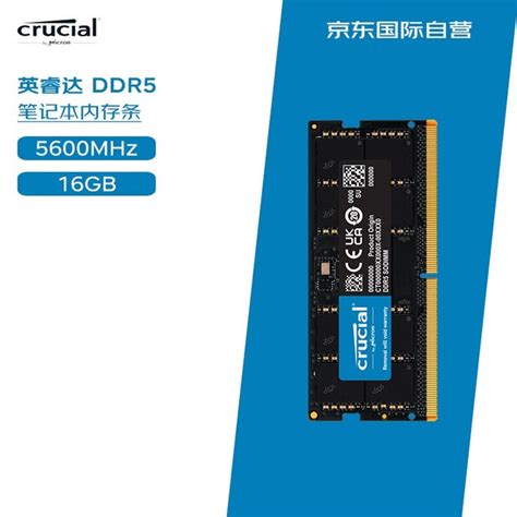 【手慢无】京东国际促销！crucial 英睿达 Ddr5 5600mhz笔记本内存低至279元英睿达 24gb Ddr5 5600 笔记本