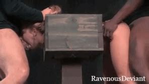 Buxom Bouncers Porn Pic