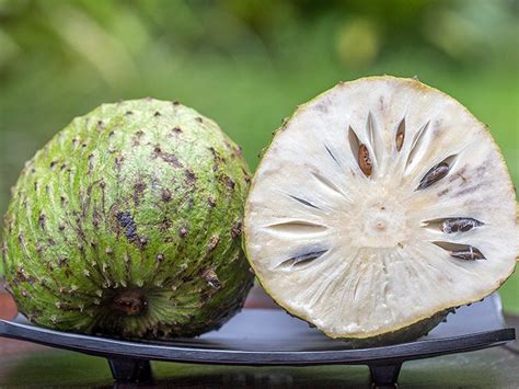 Guanabana Fruit Cancer Treatment