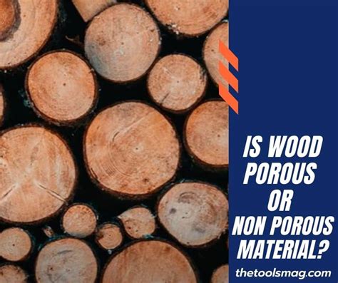 Is Wood Porous Or Non Porous Common Questions About Wood Are Answered